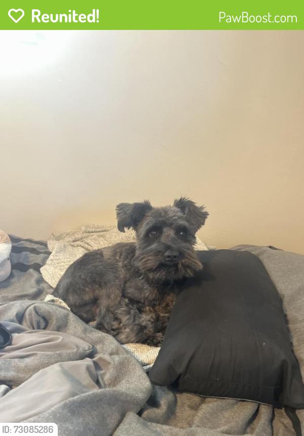 Reunited Male Dog last seen Neighborhood near Kipling and Colfax, Lakewood, CO 80215