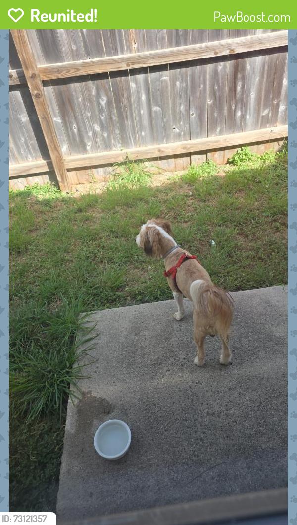 Reunited Male Dog last seen W County Line Rd and Pahmeyer Rd, New Braunfels, TX 78130