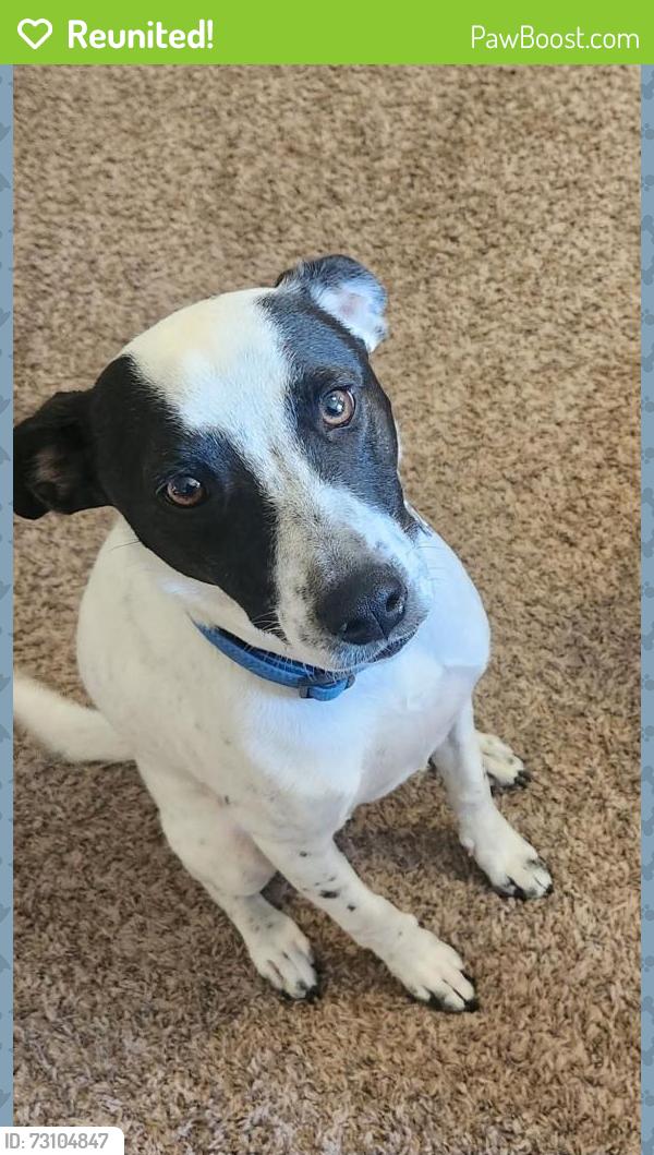 Reunited Male Dog last seen Encino Corona, Adkins, tx, Wilson County, TX 78101