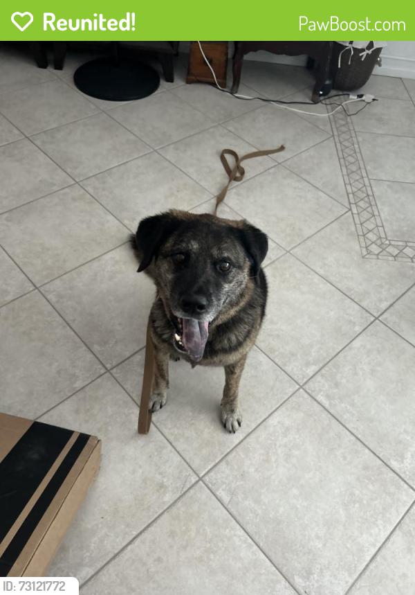 Reunited Male Dog last seen SE 5th Street, Pompano Beach, FL 33060