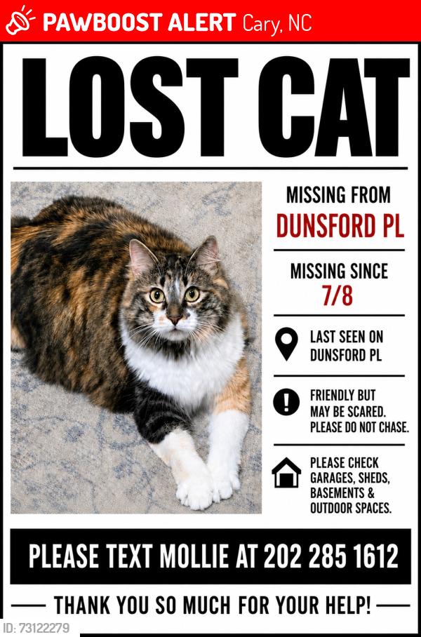 Lost Female Cat last seen Dunsford Place, Cary NC 27511, Cary, NC 27511