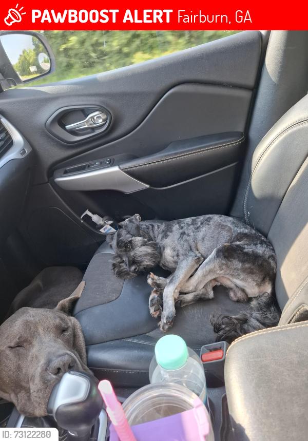 Lost Male Dog last seen Fairburn, Fairburn, GA 30213
