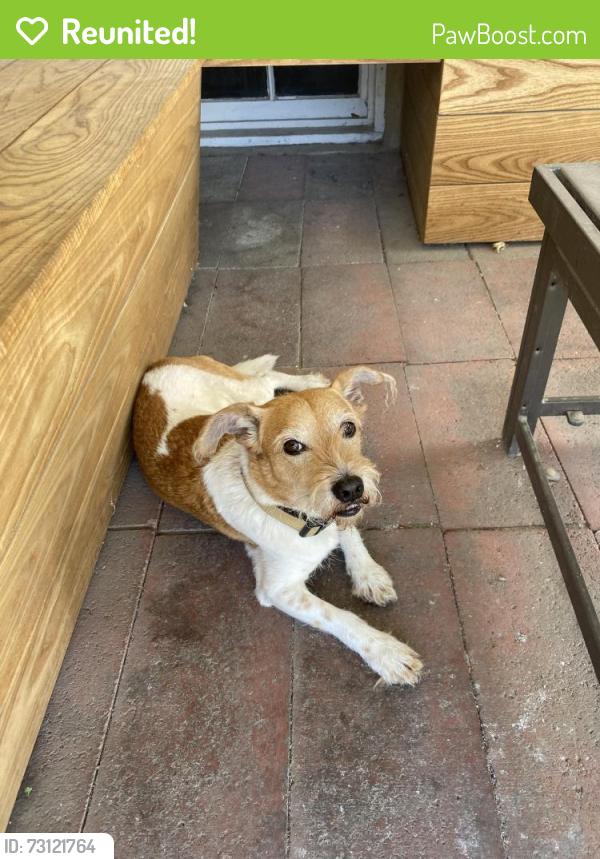 Reunited Male Dog last seen Near Fairmont park , 2700 south 800 east, Salt Lake City, UT 84106