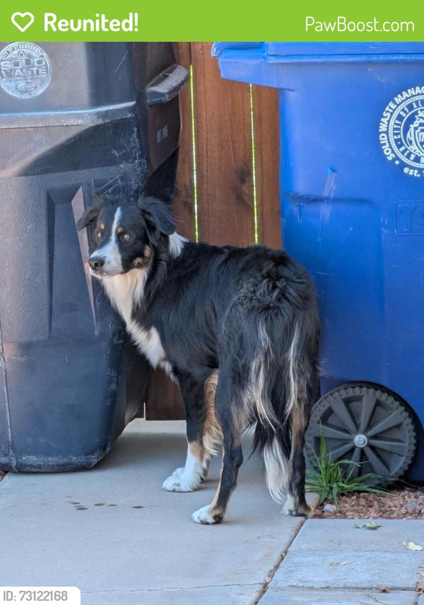 Reunited Male Dog last seen Wyoming and Paseo del Norte, Albuquerque, NM 87109