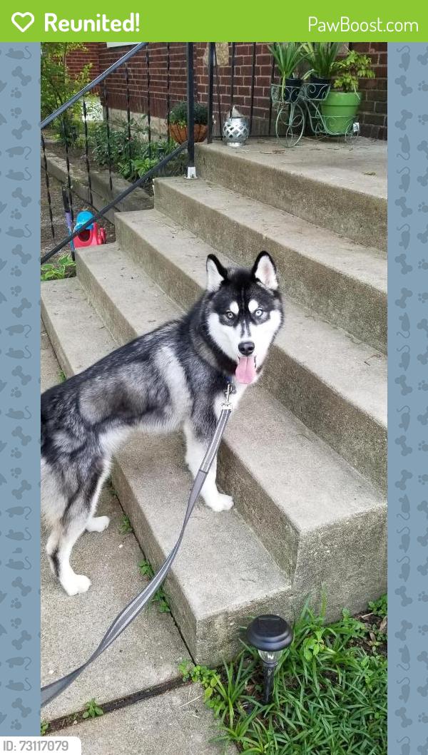 Reunited Male Dog last seen Harry lee ln, Cincinnati, OH 45239