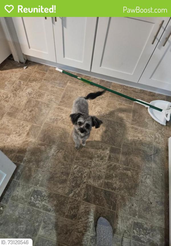 Reunited Male Dog last seen Near west, Taylorsville, UT 84123
