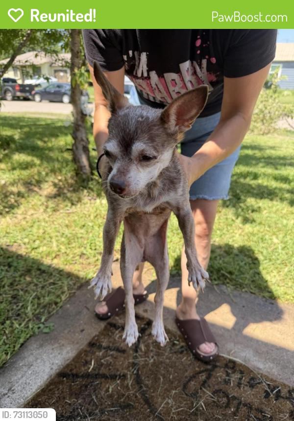 Reunited Female Dog last seen Evergreen by miller and first, Garland, TX 75041