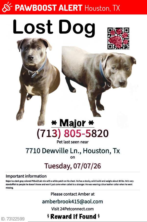 Lost Male Dog last seen Dewville Ln. & Canino Rd., Houston, TX 77037