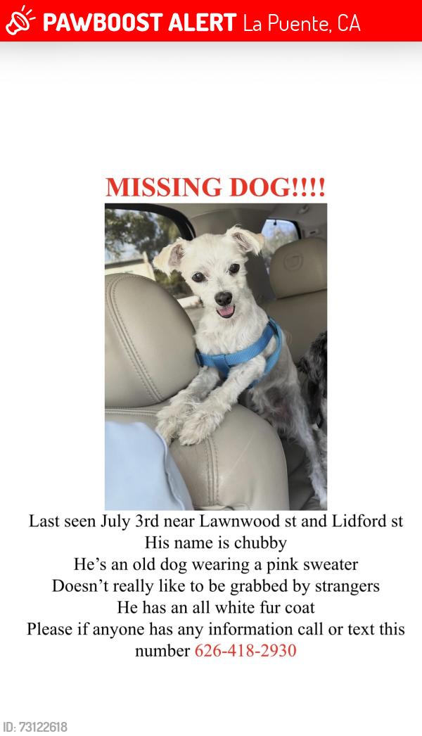 Lost Male Dog last seen Amar, La Puente, CA 91744