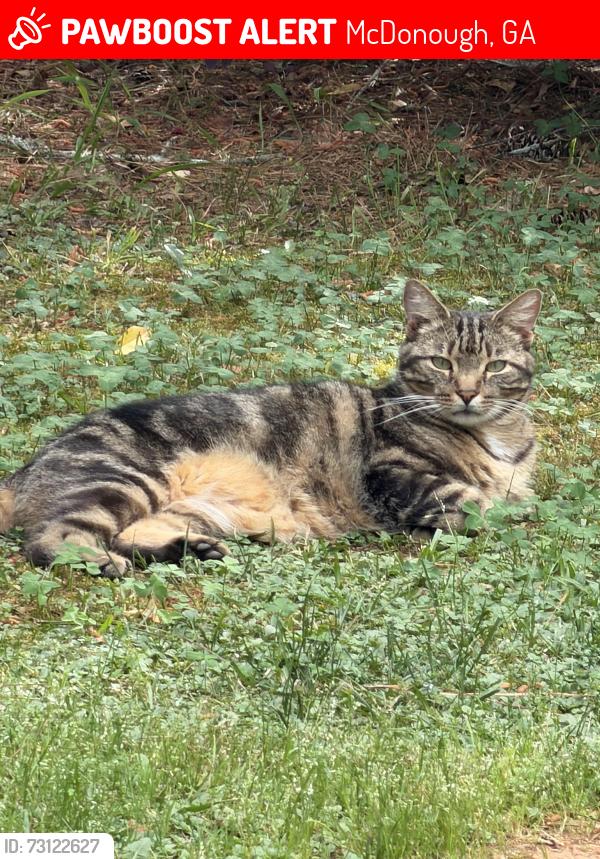 Lost Male Cat last seen New hope rd Antioch rd, McDonough, GA 30252