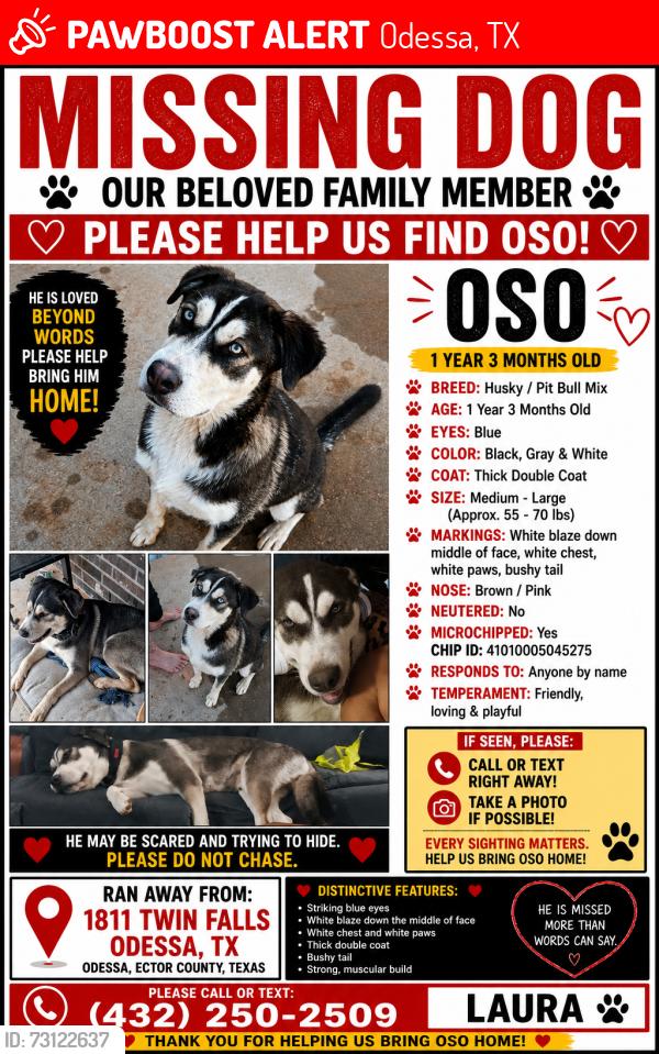 Lost Male Dog last seen Near twin falls Odessa Texas 79762, Odessa, TX 79762