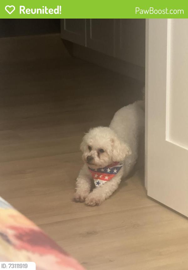 Reunited Female Dog last seen Piccard, San Diego, CA 92154