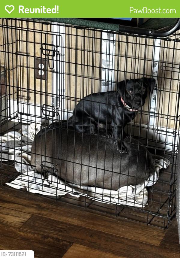 Reunited Male Dog last seen Kyndwood, New Braunfels, TX 78130