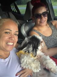 Lost Female Dog last seen Near, Clermont, FL 34711