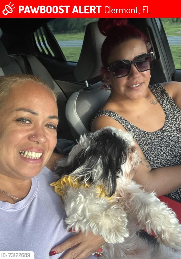 Lost Female Dog last seen Near, Clermont, FL 34711