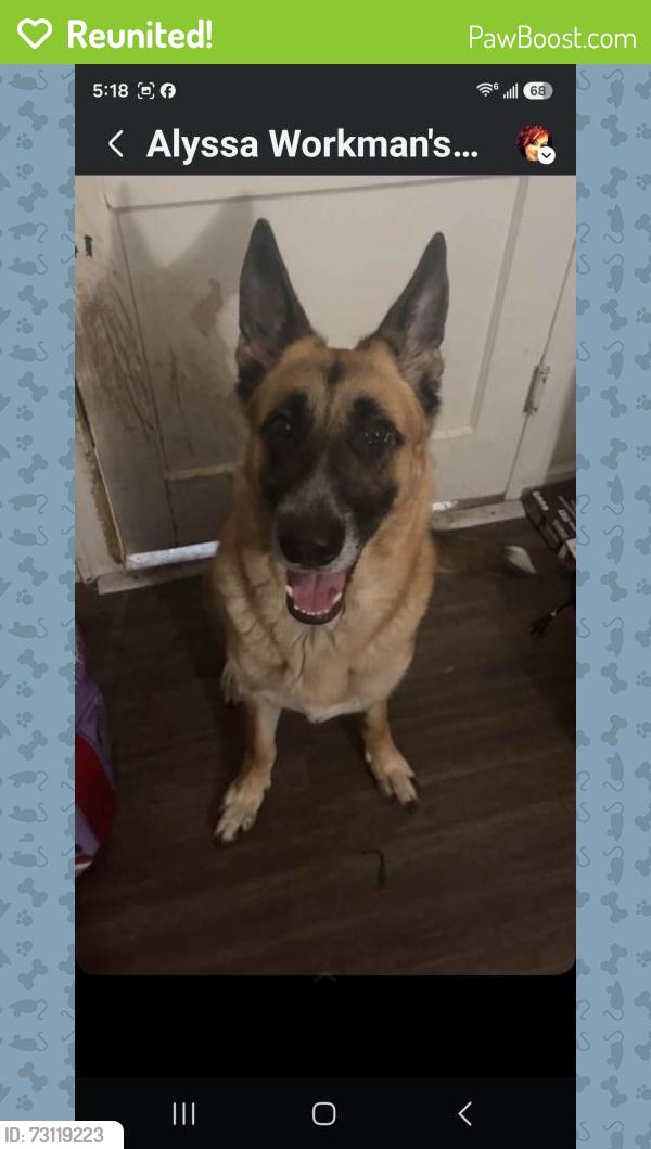 Reunited Female Dog last seen West berry/hemphill/ behind the neighborhood walmart, Fort Worth, TX 76110
