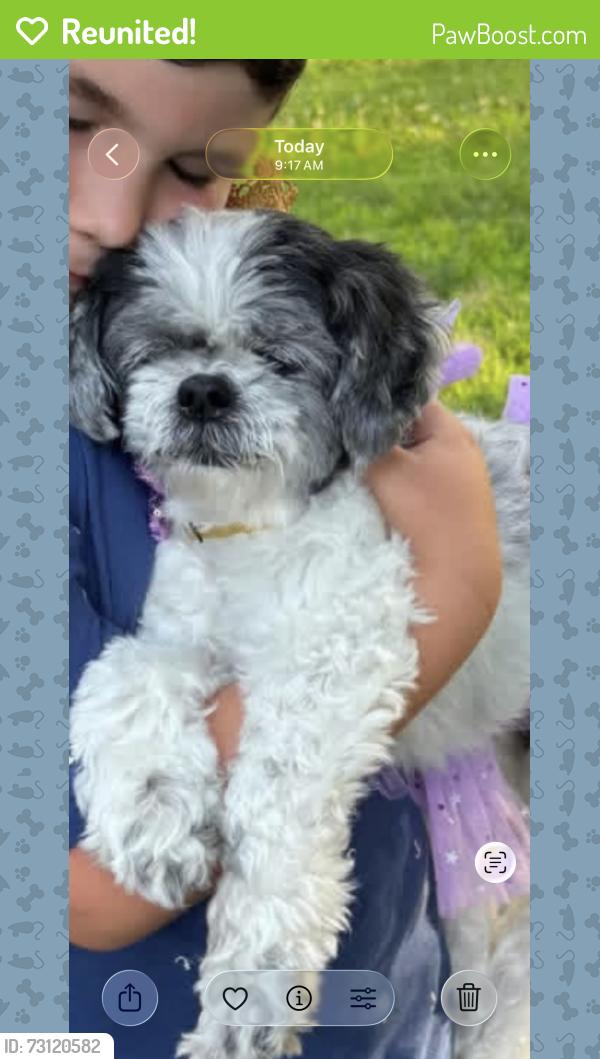 Reunited Female Dog last seen W 246th street and independence Avenue, The Bronx, NY 10471