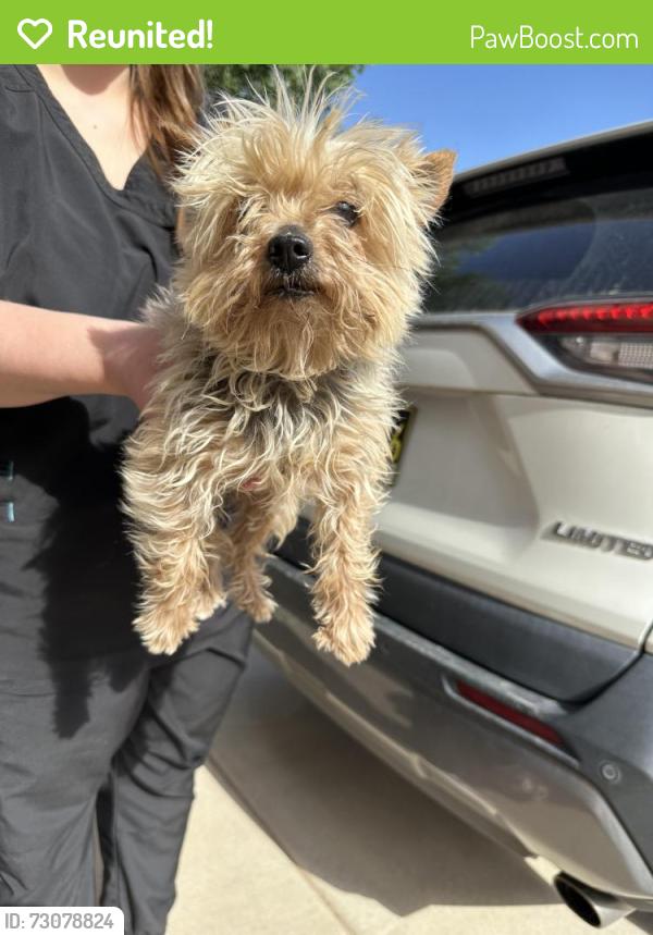 Reunited Female Dog last seen Havasu and Aspen meadows NE, Rio Rancho, NM 87144