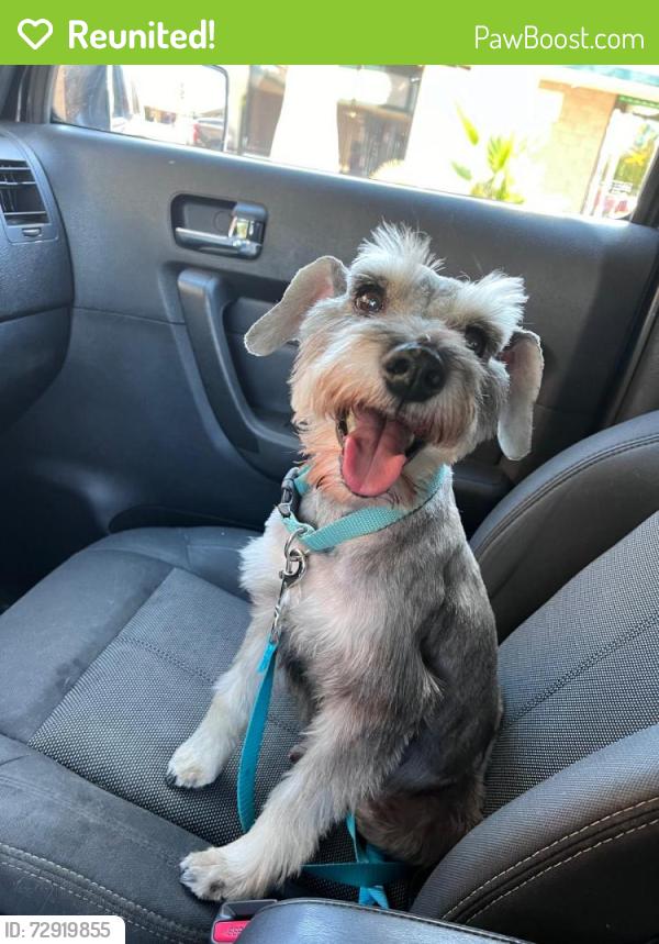 Reunited Male Dog last seen Akerman Dr Norman OK, Norman, OK 73026