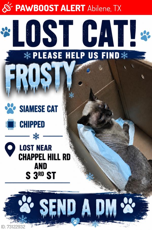 Lost Male Cat last seen S3rd and chapel hill rd, Abilene, TX 79605