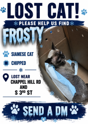 Lost Male Cat last seen S3rd and chapel hill rd, Abilene, TX 79605
