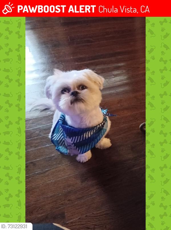 Lost Male Dog last seen D ST, Chula Vista, CA 91910