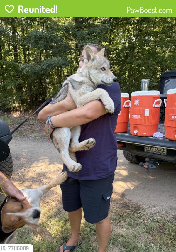 Reunited Female Dog last seen Near Nc 66 Hwy N, Westfield, NC, 27053-7143, Westfield, NC 27053