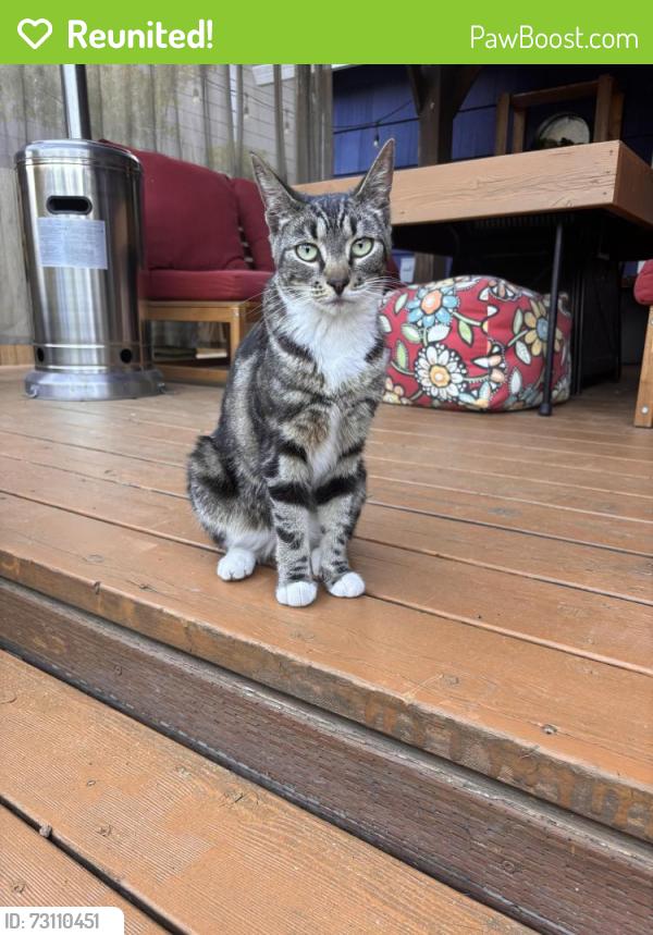Reunited Unknown Cat last seen SW Huntington or SW Lynnridge, Portland, OR 97225