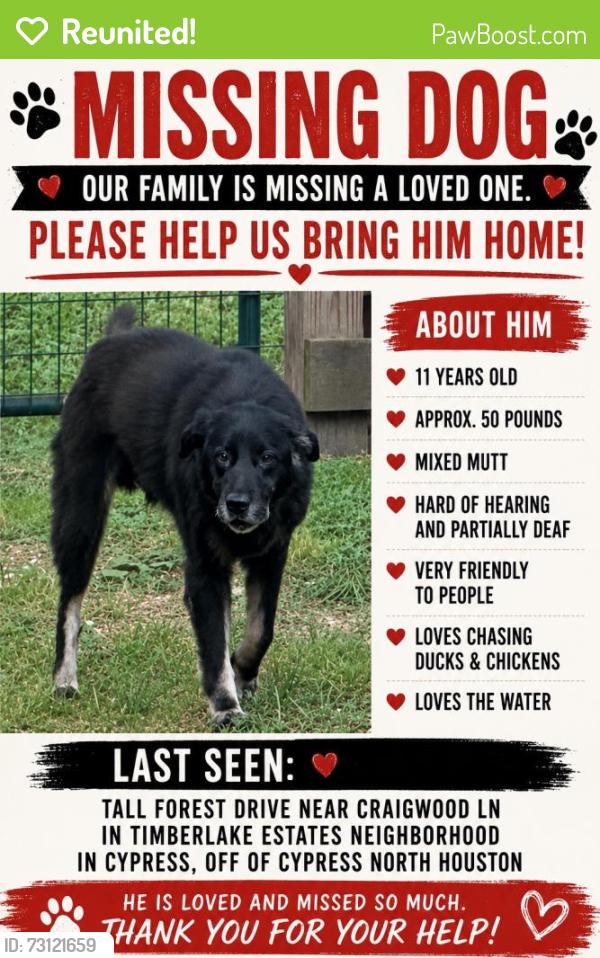 Reunited Male Dog last seen Tall Forest & Craigwood Ln - Timberlakes ests neighborhood, Cypress, TX 77429