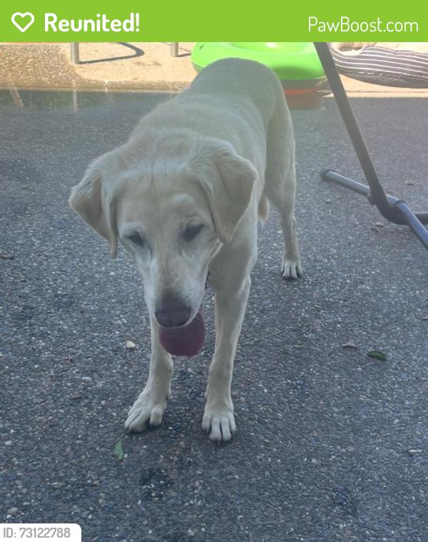 Reunited Male Dog last seen At the corner of Miller Dr and Miller Pl., Fairfield, CA 94534