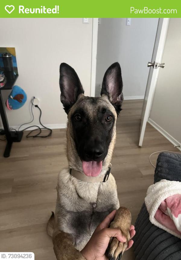 Reunited Male Dog last seen The Bowery apmts, Memphis, TN 38115