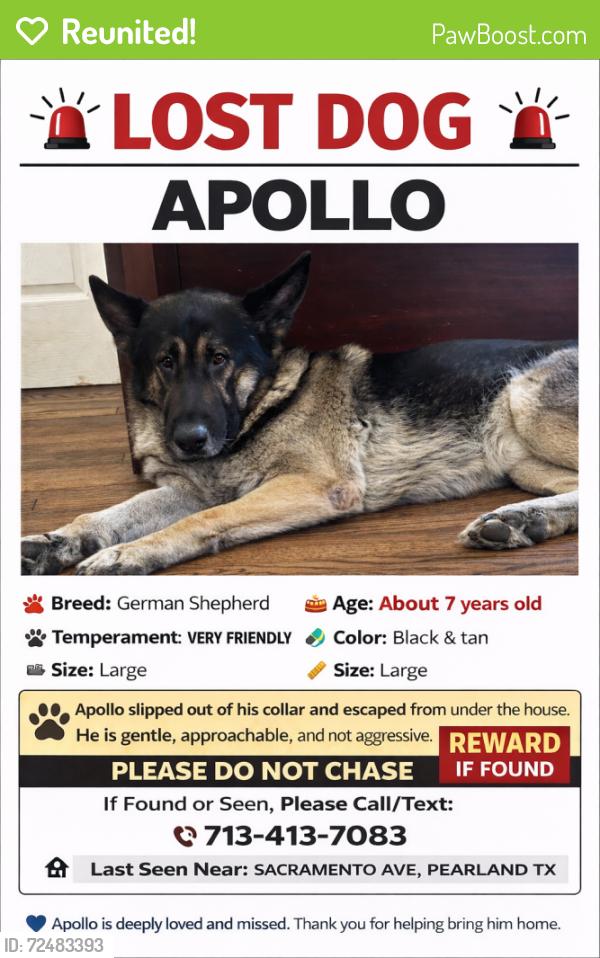 Reunited Male Dog last seen Broadway and Pearland PKWY, Pearland, TX 77581