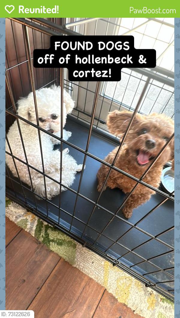 Reunited Female Dog last seen Near Cortez Park, West Covina, CA 91790