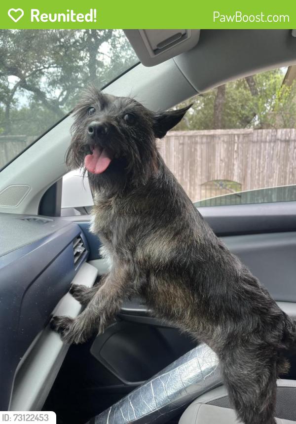 Reunited Female Dog last seen Near timber canyon dr, San Antonio, TX 78250