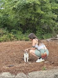 Found/Stray Unknown Cat last seen North view dr. Five points. Near baseball stadium, Athens, GA 30605