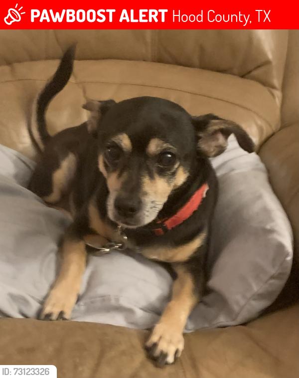 Lost Male Dog last seen Rollins Rd & River Run, Granbury, TX, Hood County, TX 76049