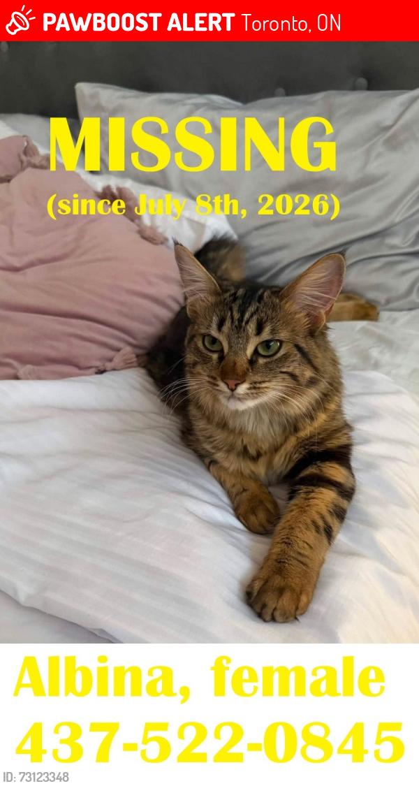 Lost Female Cat last seen Suffon Crescent, Toronto, ON 