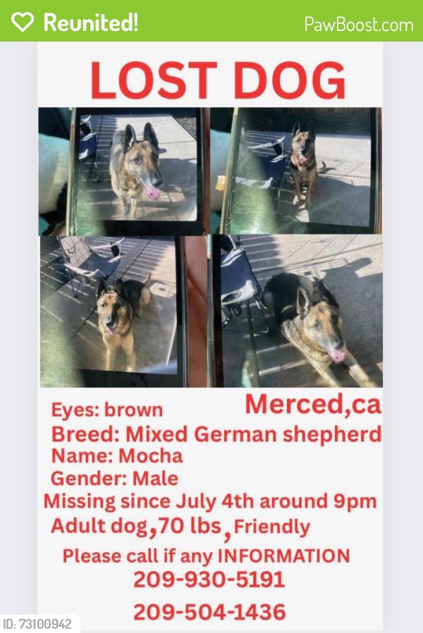 Reunited Male Dog last seen Yosemite avenue, Merced, CA 95348