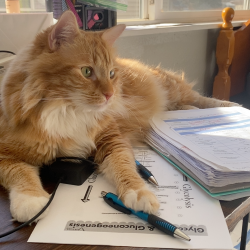 Reunited Male Cat last seen Near E Dickinson Dr, Aurora, CO 80014