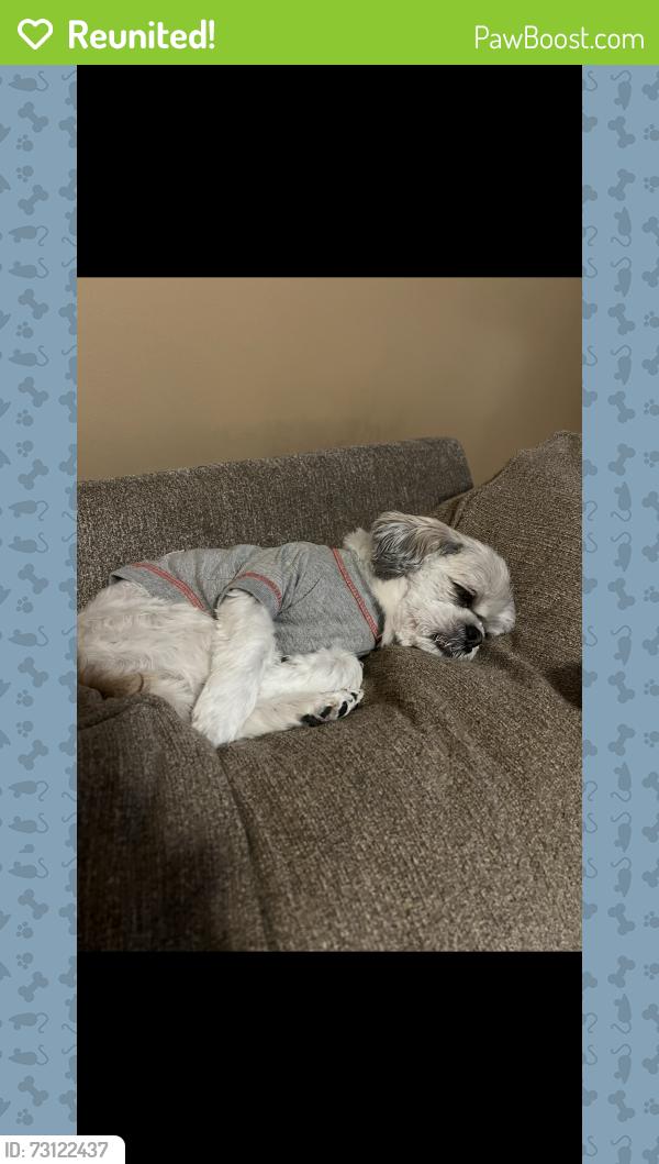 Reunited Female Dog last seen Little Turtle Community Columbus Ohio, Westerville, OH 43081