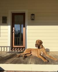 Lost Male Dog last seen Bartholomew Park Sonoma CA, Sonoma, CA 95476