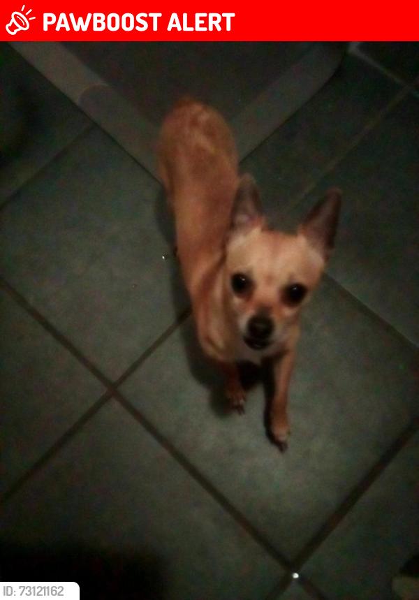 Lost Male Dog last seen Hanover Pueblo, Colorado Springs, CO 80928