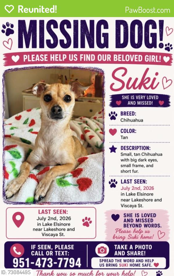 Reunited Female Dog last seen Lakeshore and Viscaya St, Lake Elsinore, CA 92530