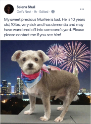 Reunited Male Dog last seen Phillips Dr, Sanford, NC 27330