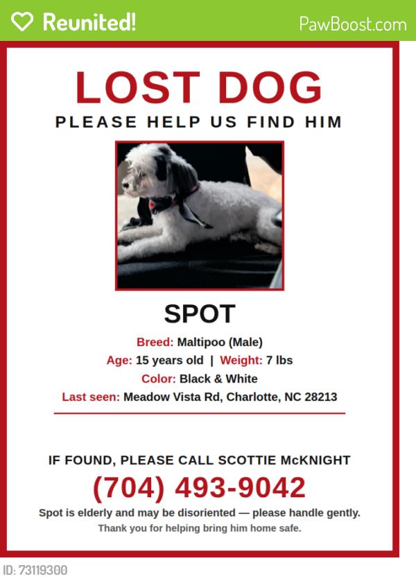 Reunited Male Dog last seen Meadow Vista Rd & Coralbell Ln, Charlotte, NC 28213