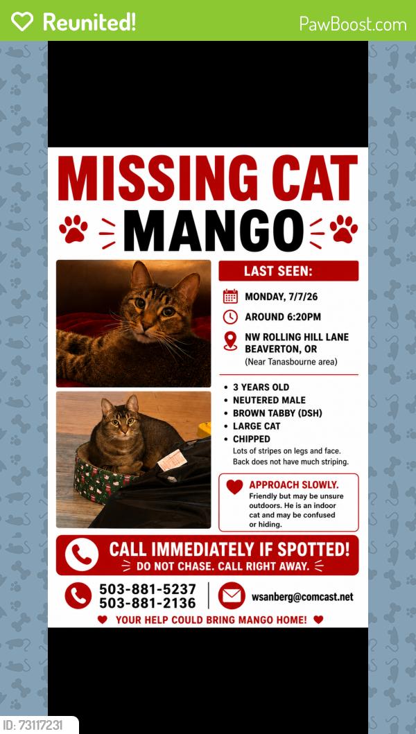 Reunited Male Cat last seen Rolling Hill Drive and Tanasbrook Circle, Beaverton, OR 97006