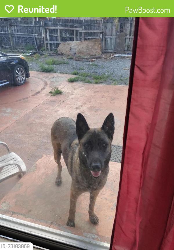 Reunited Female Dog last seen Near w 51 st Hialeah fl 33012, Hialeah, FL 33012