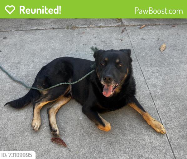 Reunited Male Dog last seen huntington park, Huntington Park, CA 90255