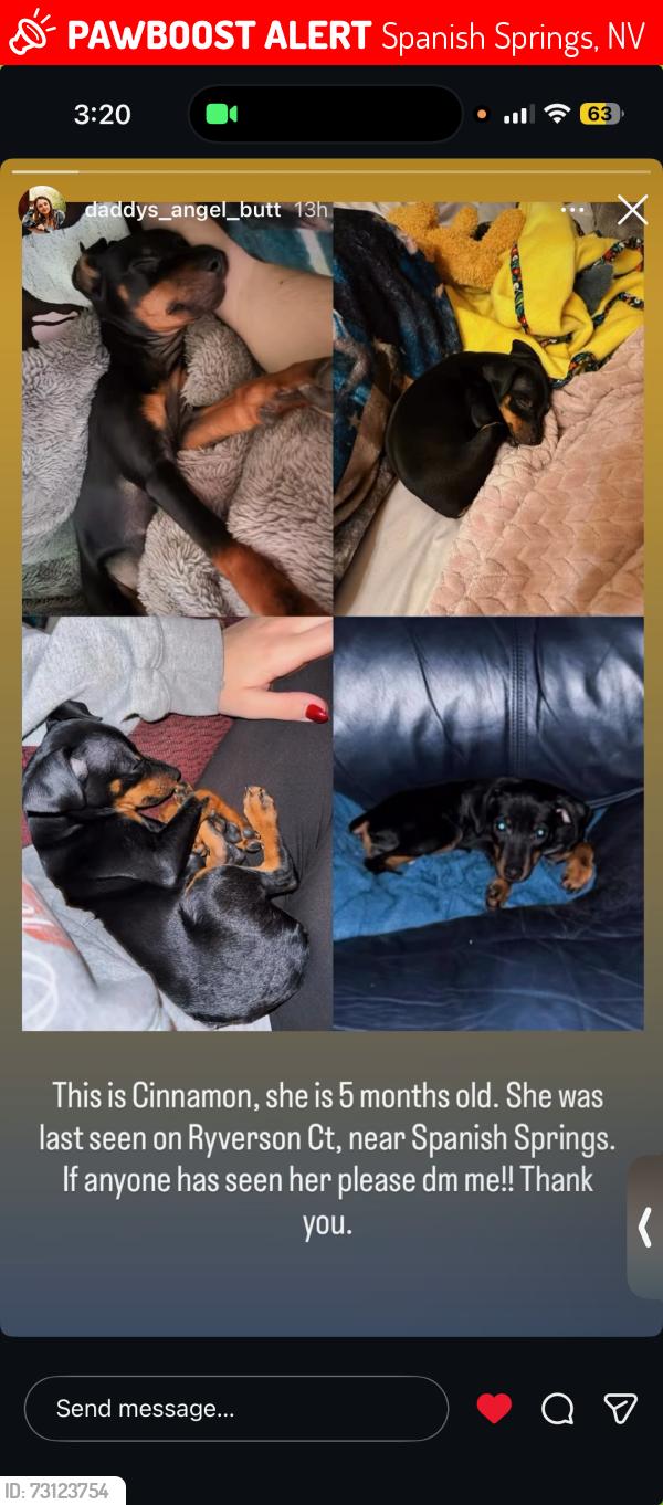 Lost Female Dog last seen Near ryverson ct Spanish springs, Spanish Springs, NV 89441