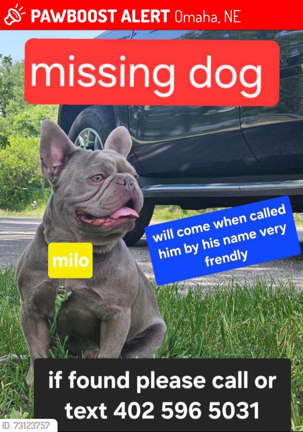 Lost Male Dog last seen North Omaha, Omaha, NE 68111
